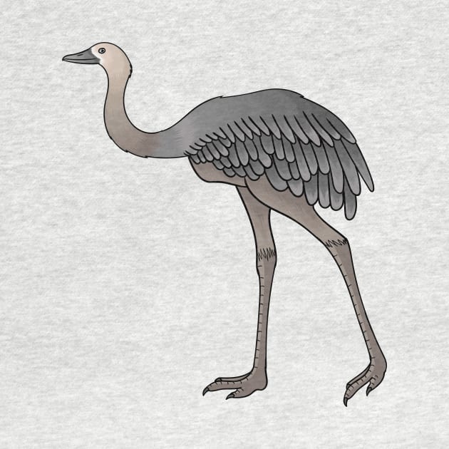 Greater rhea bird cartoon illustration by Cartoons of fun